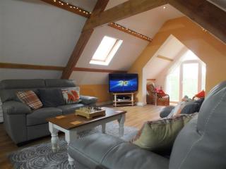Pond Cottage - New Quay - 5