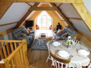 Pond Cottage - New Quay - 7
