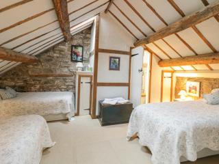 Lower Dolgenau- The Cottage - Caersws - 5