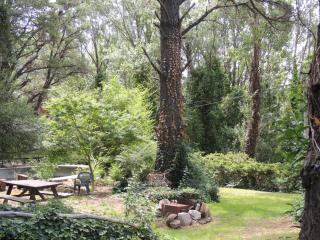 Aldea del bosque - Villa Ventana - 6