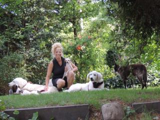 Aldea del bosque - Villa Ventana - 8