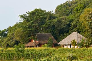 Amuna Ayurveda and Wellness Retreat - Sigiriya - 2