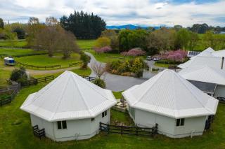 Silverstream Alpaca Farmstay & Tour - 2