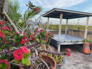 Smile Guesthouse Krabi - 1