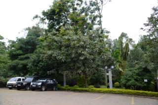 Soluxe Club International Hotel - Nairobi - 3