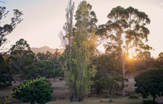 Karribank - Porongurup - 0