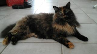 Le Temps d'une Pause - 3