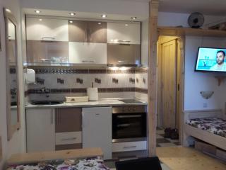 apartman na stazi - Kopaonik - 4