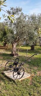 Villa Spanja - Vodice - 5