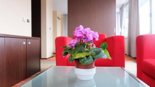 Hotel Richi - Zenica - 4