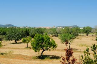 Finca Cullera - Calonge - 5