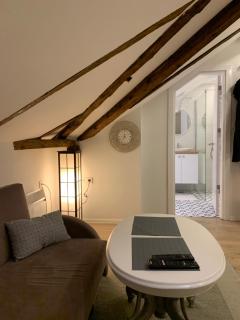 West Studio Apartment Sarajevo - Sarajevo - 2