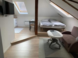 West Studio Apartment Sarajevo - 3