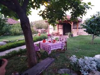 Rancho i Vancho na Kata - 7