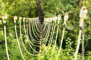 The Blossom Resort - Chikmagalur - 2