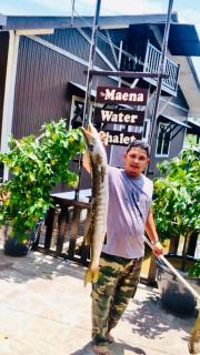 Maena Water Chalets - Tumpat - 1