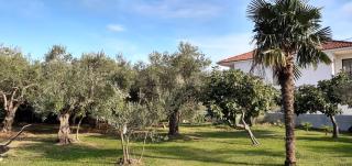 Villa Spanja - Vodice - 6