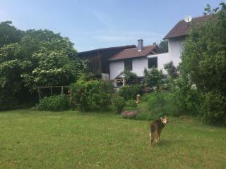 Michaelsbergblick - Bönnigheim - 9