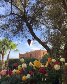 Jnane Leila - Marrakesch - 8