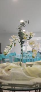 Hotel Porto de Paz - Shantiniketan - São Francisco do Sul - 9