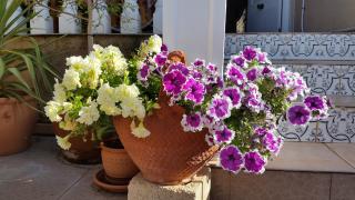 La Zenia Holiday Home - Playas de Orihuela - 4