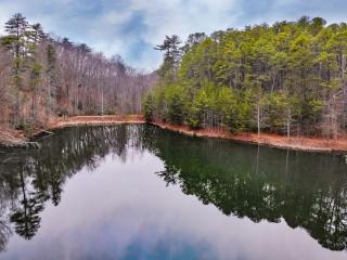 Alpine Joy-Hot Tub, Pond Access ,Cozy Cabin Retreat in the Smokies - 7