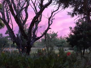 Gerald's Gift Guest House - 1