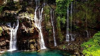 Le Gecko Vert - Manapany-les Bains - 0