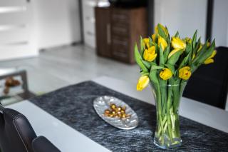 Apartament Szczęśliwy - Ustrzyki Dolne - 8