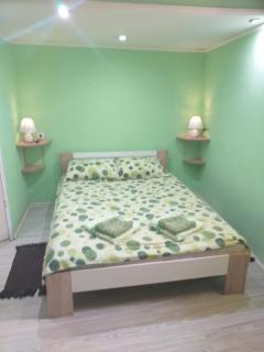 Apartman Andjela 1 - Vrdnik - 9