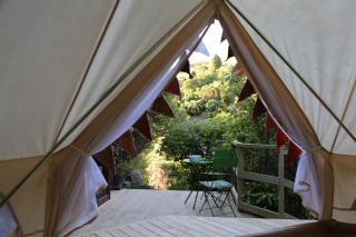 Kereru site - Waihi - 8