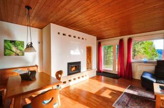 Ferienhaus am Feldberg - Feldberg - 6