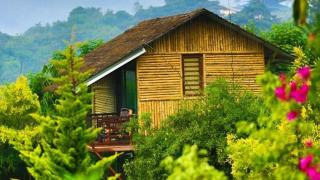 KOOMANKOLLY RESORT - Thirunelli - 0