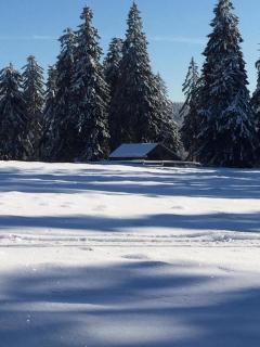 Pension zur Klause - 8