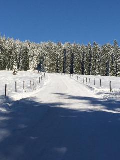 Pension zur Klause - 7