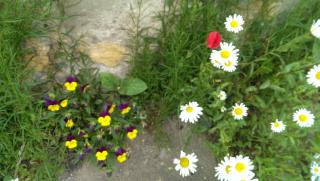 Ein Platz für Ruhe und Naturgenuss - 1