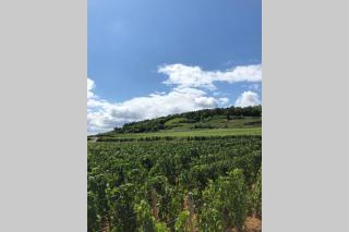 les nuits du paradis - Nuits-Saint-Georges - 1