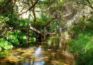 BLUESKY by Camelo Casas de Campo - Camelo - 2