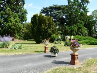 Château de Piolant - Dangé - 5