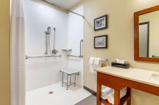 Comfort Inn & Suites West Des Moines - West Des Moines - 2