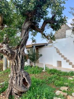 Trullo Labellavita - 2