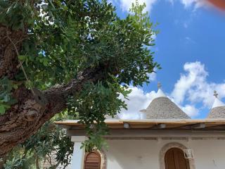 Trullo Labellavita - Putignano - 7