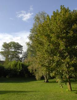 Hotel Celisol Cerdagne - Bourg-Madame - 3