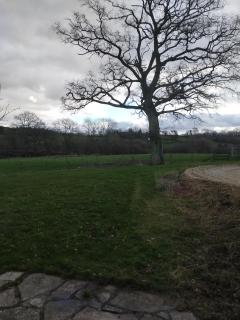 Coed Canol Farm - Abergavenny - 7