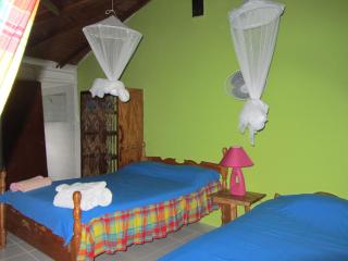 Hibiscus Valley Inn - Marigot - 7