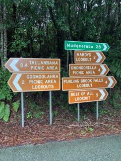 Springbrook Mountain Chalets - 4