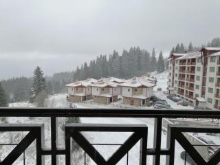 Apartment Viki Pamporovo - 9