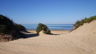 Villa Salina fronte mare - 1