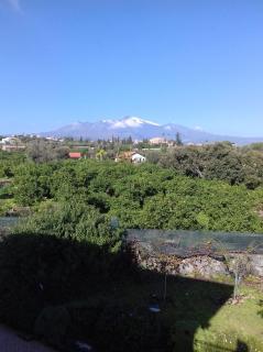 villa dei limoni Etna-mare - Acireale - 8