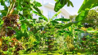 Villa Modara - Tangalle - 6